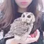 t.yのプロフィール画像