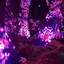 803のプロフィール画像