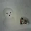 MOLOのプロフィール画像
