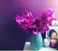 R♡︎ʾʾのプロフィール画像