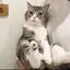 haruのプロフィール画像