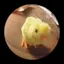 さよのプロフィール画像