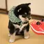 まおのプロフィール画像