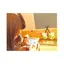 Rのプロフィール画像