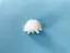 おいりーのプロフィール画像