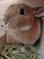 みっこのプロフィール画像
