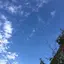 narumiのプロフィール画像