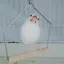 琥珀のプロフィール画像