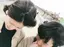 あかりのプロフィール画像