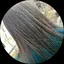 ゆかぉのプロフィール画像