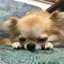 リカのプロフィール画像