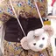 mikiのプロフィール画像