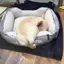あやかのプロフィール画像