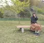 momoのプロフィール画像