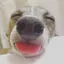 かなのプロフィール画像