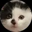 かきあげのプロフィール画像