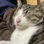 saayaのプロフィール画像