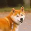 はやしのプロフィール画像