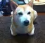Hideakiのプロフィール画像