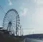 swdkzmのプロフィール画像