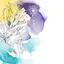SALTのプロフィール画像