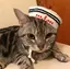 もときのプロフィール画像