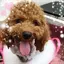 ゆきこのプロフィール画像