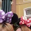 mioのプロフィール画像