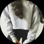 たろすのプロフィール画像