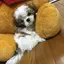 momoのプロフィール画像