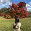 由季のプロフィール画像