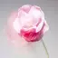 Aのプロフィール画像
