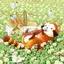 yuのプロフィール画像