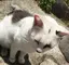 さっとんのプロフィール画像