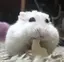 志乃のプロフィール画像