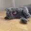 yuuのプロフィール画像