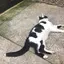 みっしーのプロフィール画像