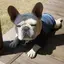 youのプロフィール画像