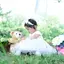 alisaのプロフィール画像