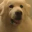 大樹のプロフィール画像