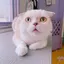 kのプロフィール画像