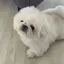 hinaのプロフィール画像