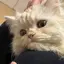 ののプロフィール画像