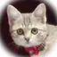 ばんのプロフィール画像