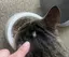 TOのプロフィール画像