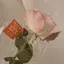 ayaのプロフィール画像