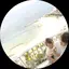 豆腐ママのプロフィール画像