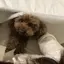 suuのプロフィール画像