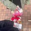 まるりのプロフィール画像