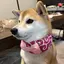 kannaのプロフィール画像